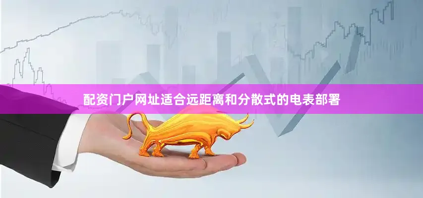 配资门户网址适合远距离和分散式的电表部署