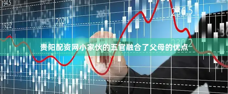 贵阳配资网小家伙的五官融合了父母的优点
